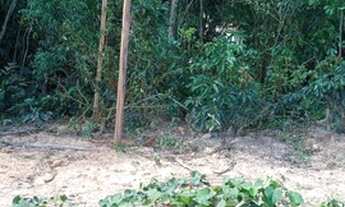 Imagem: Vende - terreno