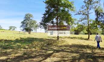 Imagem 4: Fazenda de Oportunidade ! São 25 Alqueires ! Região de Heitoraí !