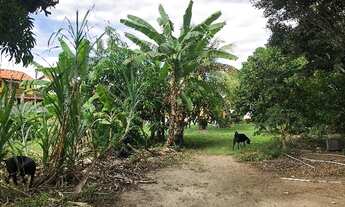 Imagem 7: Vendo Sítio Porto Roça/Saquarema