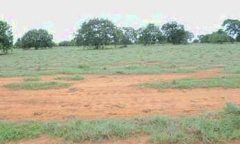 Imagem 5: . Fazenda 970 alqueires na região de peixe Tocantins