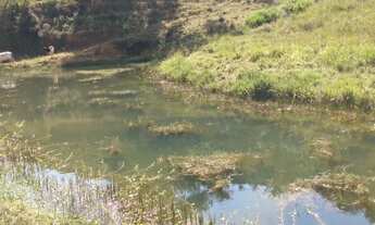 Imagem 2: Vende-se terreno Caparaó