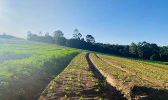 Imagem 6: Terrenos Planos e Limpos Para Sua Casa de Campo em Ibiúna - SP