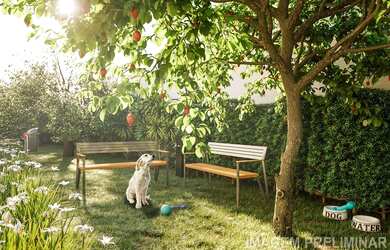 Imagem 12: SãO PAULO - Apartamento Padrão - Ipiranga