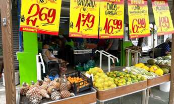 Imagem 5: Vendo Hortifruti