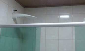 Imagem 3: Oportunidade unica aluga!