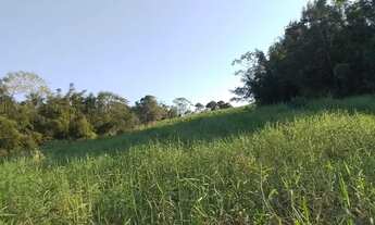 Imagem 2: Vendo excelente sítio de 10 alqueires em Iguape-SP