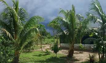 Imagem 6: Chácara em São Francisco do Pará