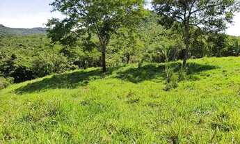Imagem 6: Vendo ótima fazenda para produção rural