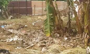 Imagem 2: Lote águas linda