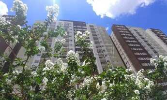 Imagem: Araraquara - Apartamento Padrão - Jardim