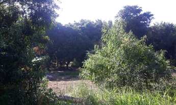 Imagem 4: Comercial para Aluguel em Ferraz de Vasconcelos/SP