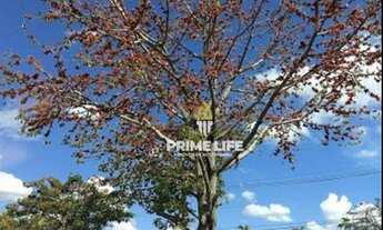 Imagem 3: Terreno à venda, 300 m² por R$ 244.000,00 - Campos Do Conde - João Aranha - Paulínia/SP