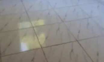 Imagem 5: Aluga Apartamento