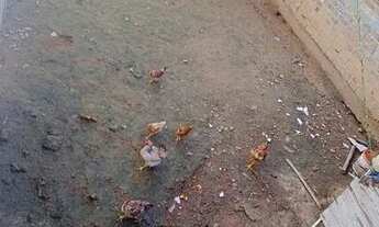 Imagem 6: Vende-se um terreno em São Cristóvão