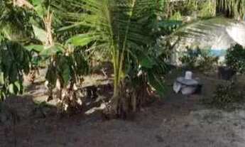 Imagem 4: Sítio com casa Casa com 2 dormitórios