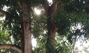 Imagem 2: VENDO Casa com 4 dormitórios