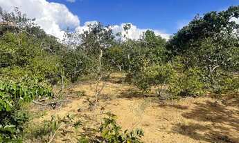 Imagem 2: Excelente oportunidade