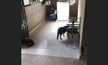 Imagem 5: Vende-se casa Francisca mendes 125 mil