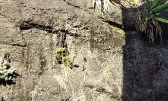 Imagem 7: Kitnet/conjugado para venda com 14 metros quadrados com 1 quarto em Urca - Rio de Janeiro