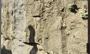 Imagem 2: Kitnet/conjugado para venda com 14 metros quadrados com 1 quarto em Urca - Rio de Janeiro