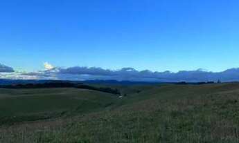 Imagem 2: Chácaras a venda / 2 hectare