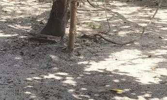 Imagem 2: Sítio na santa barbara