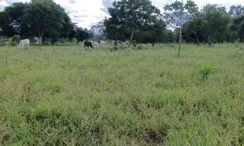 Imagem 5: Sítio no rio São Marcos