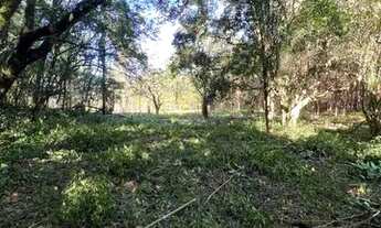 Imagem 7: Sítio Com Entrada De 4.900 E Parcelas De 650. ROB:410