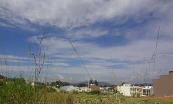 Imagem 3: Terreno para Venda - 0m², 0 dormitórios, Serraria