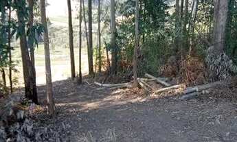 Imagem 4: Chácara pangaré