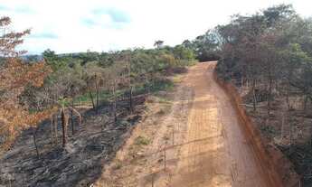 Imagem: Adquira sua chácara hoje