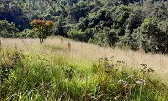 Imagem 5: Caldas - RURAL - Campininhas (Rural