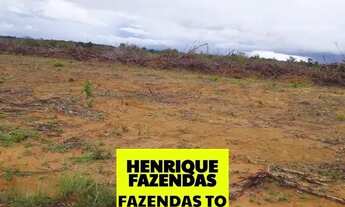 Imagem 6: Fazenda região Vale Araguaia dupla aptidão Tocantins