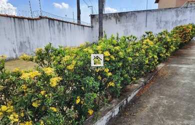 Imagem 16: Cond. Vila das Palmeiras, Novo Horizonte, Casa 3/4, Piso Porcelanato