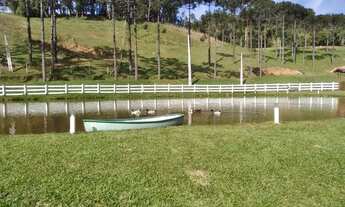 Imagem 3: Sítio Alfredo Wagner ( limeira