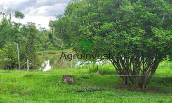 Imagem 5: Chácara em Alexânia - GO