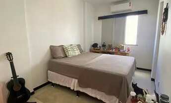 Imagem 5: Flamboyant 67750