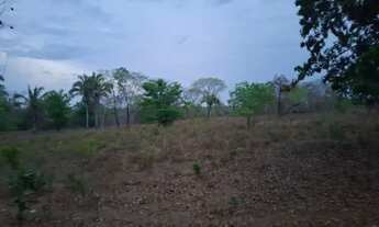 Imagem 3: FAZENDA 75 ALQUEIRES EM COLINAS/GO