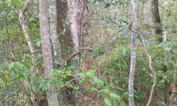 Imagem 2: Ótima chácara na ponte alta