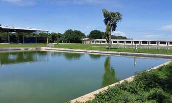 Imagem 4: Chacara 4 hectares na Rota do Cavalo - Sobradinho - DF