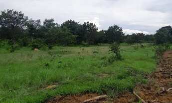 Imagem 6: Vendo esse terreno