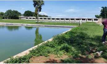 Imagem 2: Chacara 4 hectares na Rota do Cavalo - Sobradinho - DF