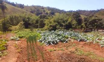 Imagem 6: Venda-se este sítio de 1 Alqueire escriturado no Município de Cachoeiro de Itapemirim/ES