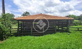 Imagem 4: FAZENDA À VENDA EM ACORIZAL - MT codigo: 111371