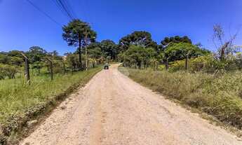 Imagem 6: Vendas Área Colombo PR