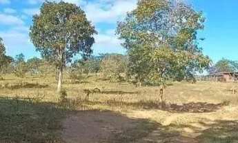 Imagem: A M Imoveis vende maravilhosa fazenda 77