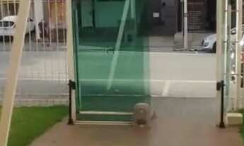 Imagem 6: Excelente Apartamento com 3 Dormitórios no Kobrasol - Oportunidade Única!