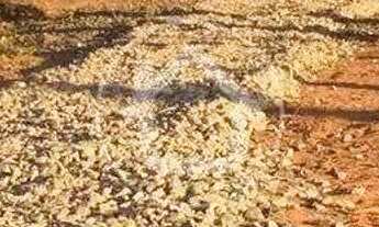 Imagem 3: CASA TÉRREA DISPONIVEL PARA VENDA