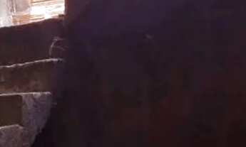 Imagem 2: Casa em rua da amizade