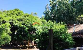 Imagem 2: Sítio em Estrada Alta Cruzinha - Cruzinha - São Francisco de Paula/RS